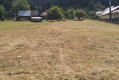 Casă cu 3 camere în Neagra