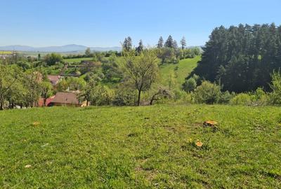 Teren Construcții intravilan de 1500 mp, în Săcele - 5