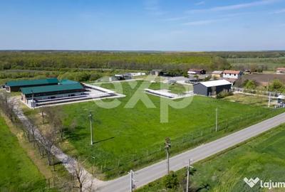 Teren în Crânguri - 9