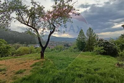Teren Construcții intravilan de 850 mp, în Turcheș - 13