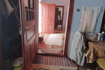 Casă cu 3 camere cu Teren 4658 Mp în Ghimpați - 10