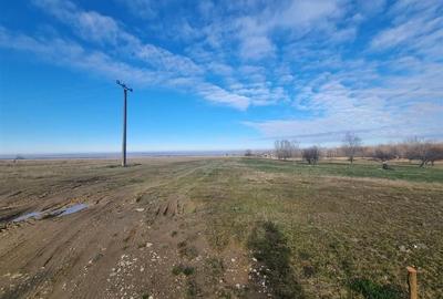 Teren Construcții extravilan de 22790 mp, în Dejani - 7