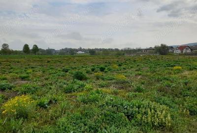 Teren de 5900 mp, în Mitocu Dragomirnei - 4