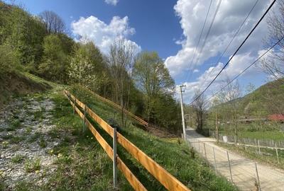 Teren de 4360 mp, în Valea Doftanei