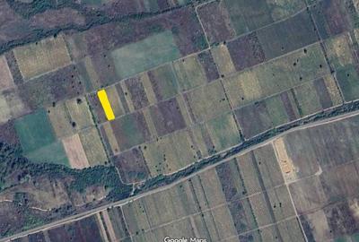 Teren de 21400 mp, în Bolotești - 3