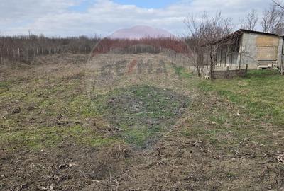 Casă cu 4 camere cu Teren 614 Mp în Ștefănești - 2