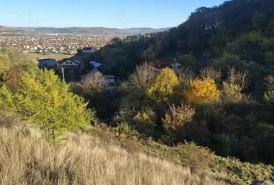 Teren de 310 mp, în Micești - 3
