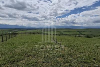 Teren agricol extravilan de 11500 mp, în Daia - 4