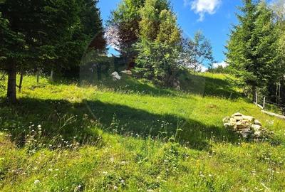 Teren intravilan de 3868 mp, în Fundata - 6