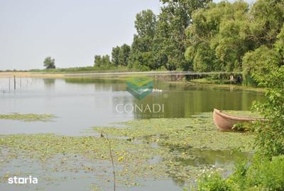 Teren de 2270000 mp, în Ciocănești - 1