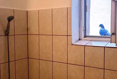 Apartament cu 2 camere decomandat în Micro 14