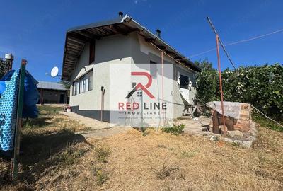 Casă cu Teren 9881 Mp în Dudașu