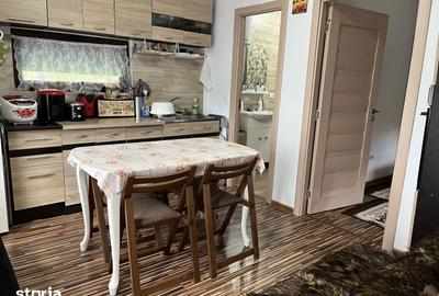Casă cu 2 camere cu Teren 3000 Mp în Vaideeni - 15