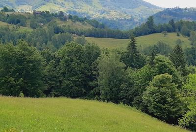 Teren de 7200 mp, în Peștera - 10