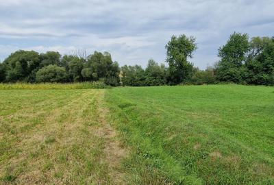 Teren de 5100 mp, în Horodnic