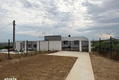 Casă cu 3 camere decomandat cu Teren 350 Mp în Paleu - 17