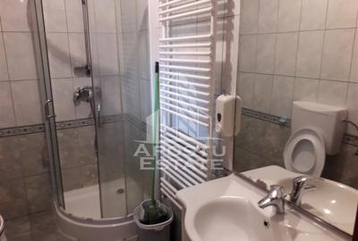 Casă individuală cu 8 camere cu Canalizare în Lugojului - 7