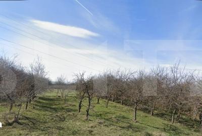 Teren de 1000 mp, în Feleacu - 1