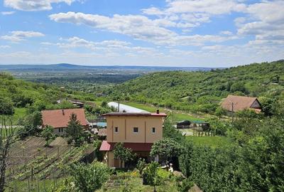 Casă cu 2 camere în Podgoria - 8
