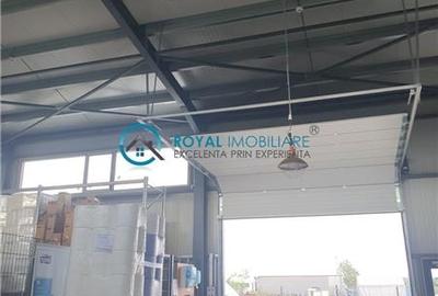 Spațiu industrial, de 365.98001098633 mp, în Păulești - 22