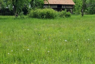 Teren Construcții intravilan de 1240 mp, în Vaduri - 1