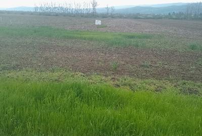 Teren Construcții intravilan de 5000 mp, în Holboca - 6