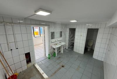 Spațiu industrial, în Est - 13