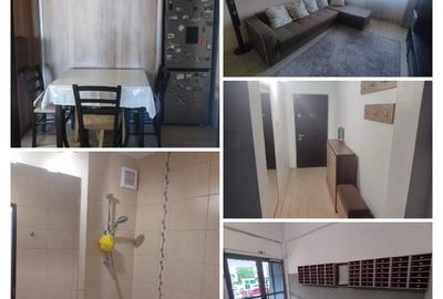 Apartament cu 2 camere decomandat, mobilat în Podu Roș - 8