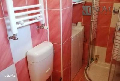 Garsonieră decomandată în Ciupercenii Noi - 7