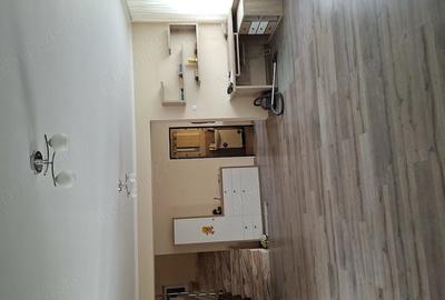 Casă cu 3 camere cu Teren 160 Mp în Paleu - 10