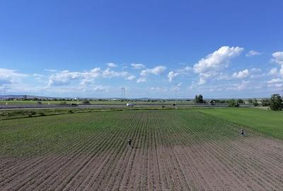Teren de 1859 mp, în Lotrioara - 2