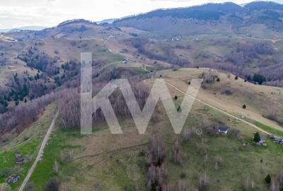Teren agricol extravilan de 11105 mp, în Fundata - 4