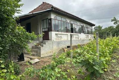 Casă cu 4 camere în Amărăști - 5