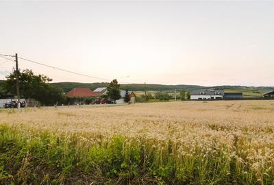 Teren Construcții intravilan de 1000 mp, în Lăzăreni - 4