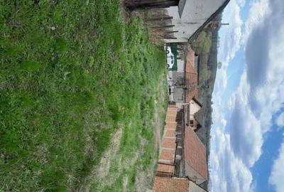 Teren de 2360 mp, în Vaidei - 5