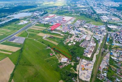 Teren Construcții intravilan de 9810 mp, în Bascov - 2