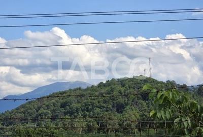 Teren Construcții intravilan de 812 mp, în Tălmaciu - 7