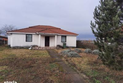 Casă cu 4 camere cu Teren 1376 Mp în Moftin
