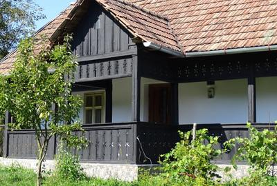 Casă individuală cu 2 camere cu Teren 2000 Mp în Mureșenii de Câmpie - 11