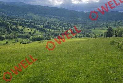 Teren de 7940 mp, în Vama Buzăului - 2