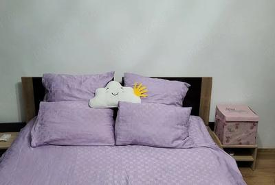 Apartament cu 2 camere decomandat în Vest - 5