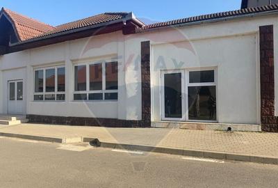 Spațiu comercial, de 330 mp, în Pianu de Jos - 2