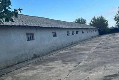 Teren de 5000 mp, în Central - 10