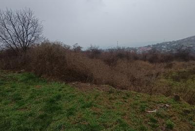 Teren intravilan de 11000 mp, în Tomești