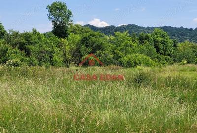 Casă cu Teren 3399 Mp în Brebu