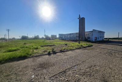 Spațiu comercial, de 7,354 mp, în Movila Miresii - 4