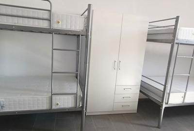 Apartament cu 10 camere în Ion Creangă - 3