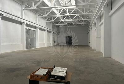 Spațiu industrial, în Mihai Bravu - 8