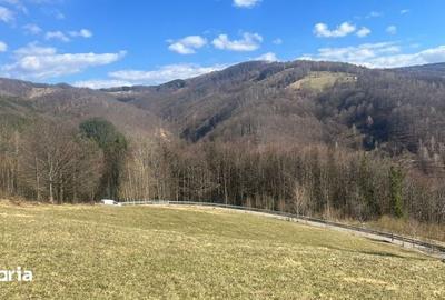 Teren de 4000 mp, în Bulz - 2