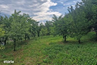 Teren de 1400 mp, în Albota